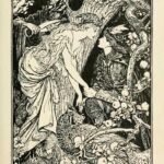 Violet, cuento