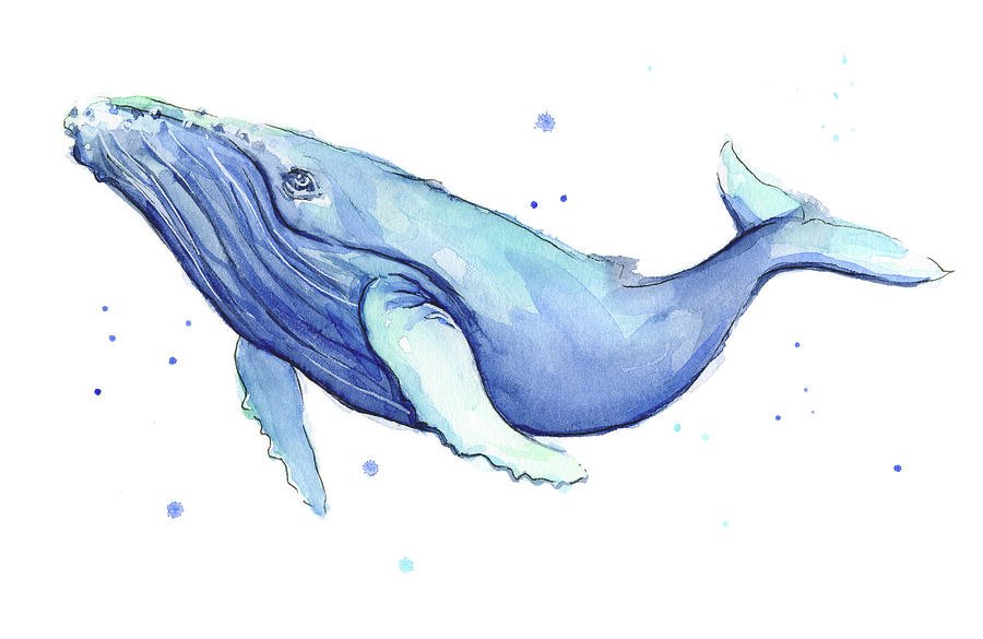 ballena