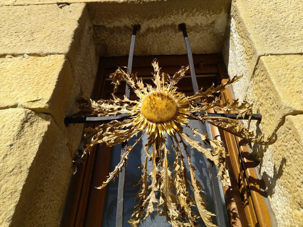 eguzkilore flor
