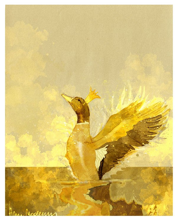 el pato dorado