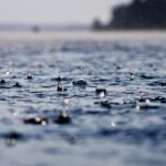 lluvia sobre el agua