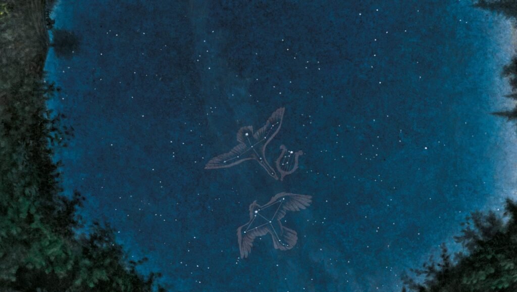 altair y vega