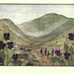 el espiritu del pozo de violetas