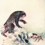 El mono y el cangrejo