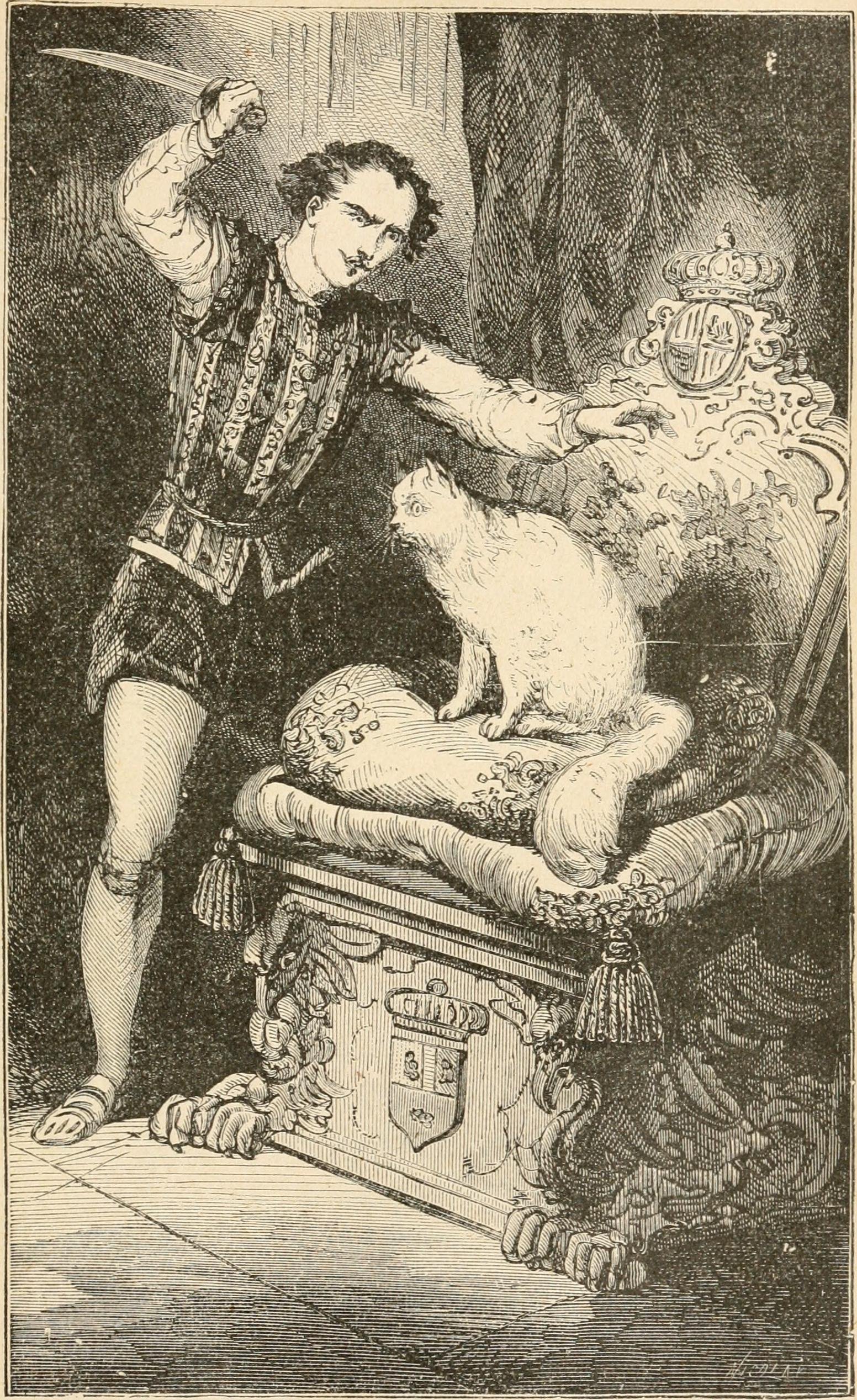 gata blanca