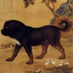 el perro maestro