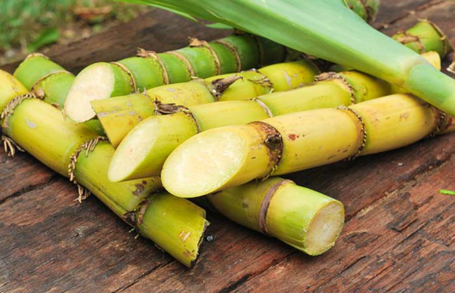 azucar