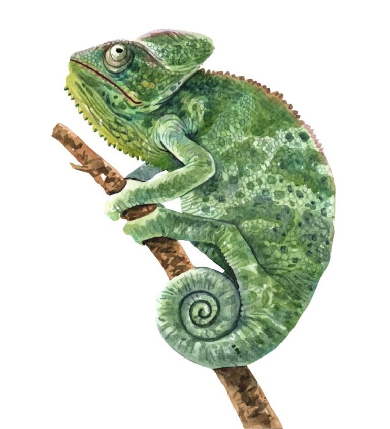 camaleón