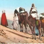 camellos