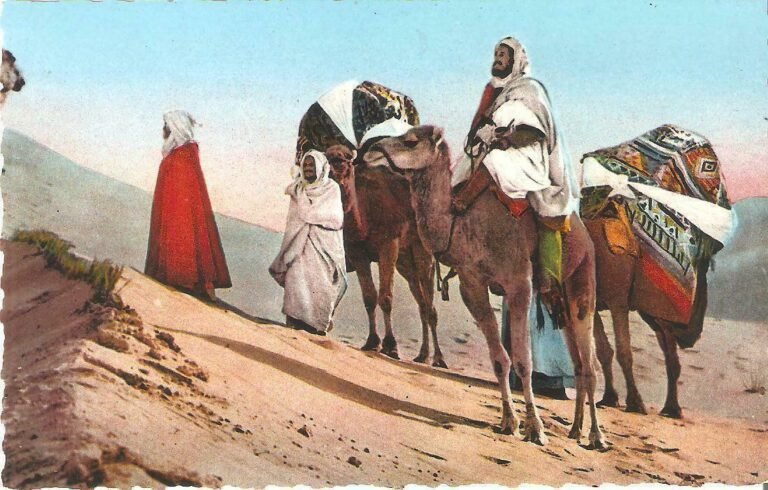 camellos