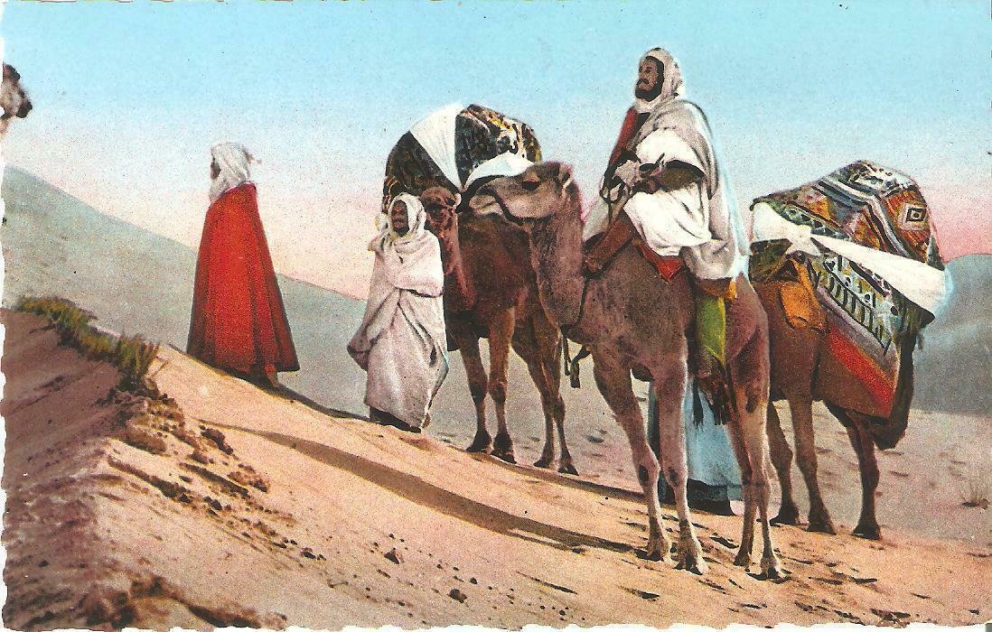camellos