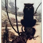 Gato negro