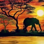 africa animales