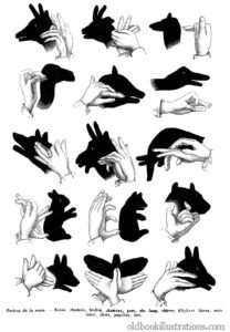 hand-shadows-Hand Shadow Puppetry