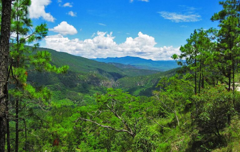 montañas Honduras
