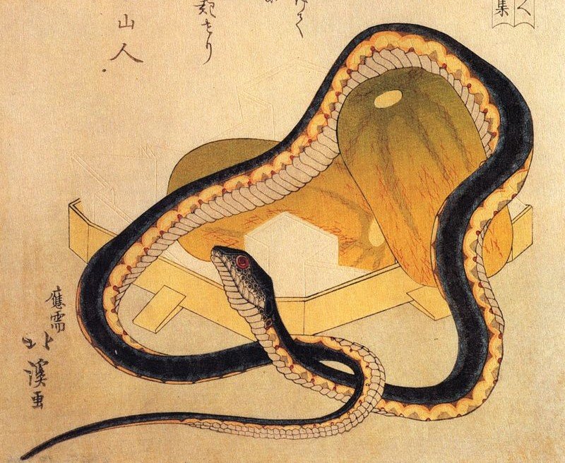 serpiente