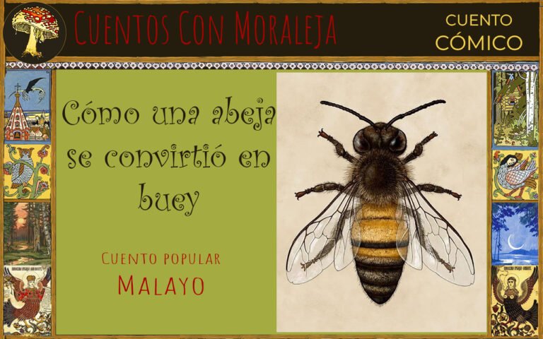 cuento malayo como una abeja se convirtió en buey