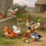 corral