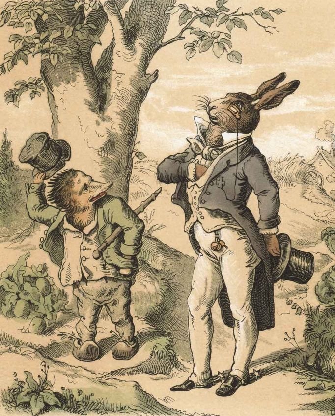 la liebre y el erizo