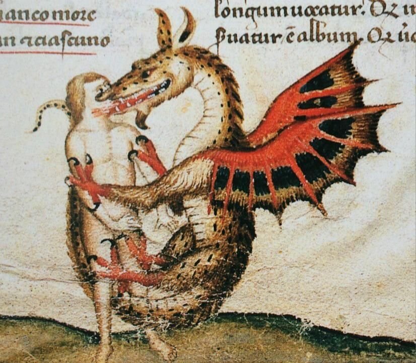 dragon