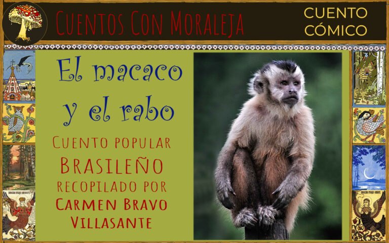 el macaco y el rabo