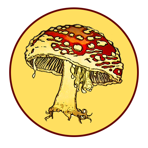 Avatar de Mykhailo Drahomanov