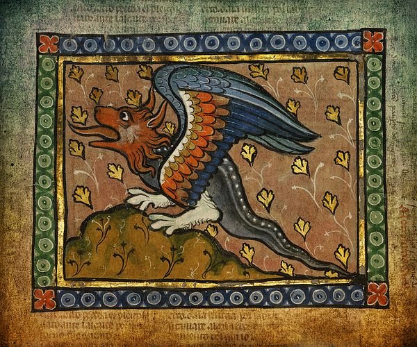 dragon celta
