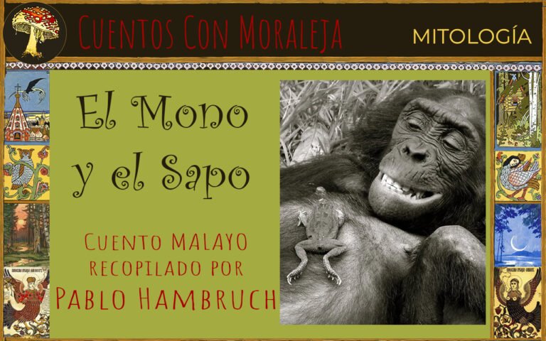 El mono y el sapo