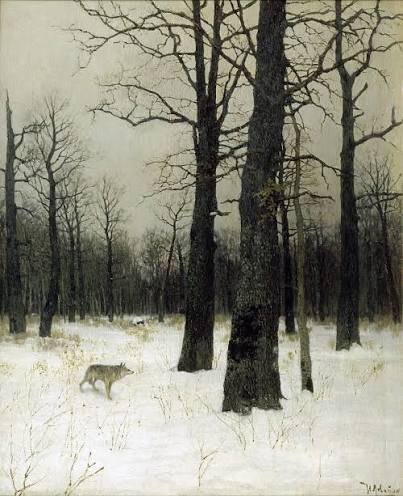 bosque nevado