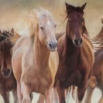 caballos